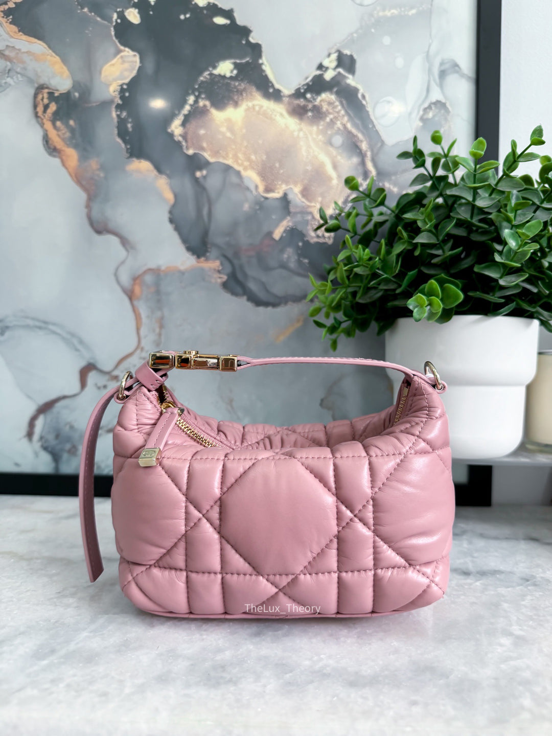 DIOR NOMAD POUCH PINK CANNAGE