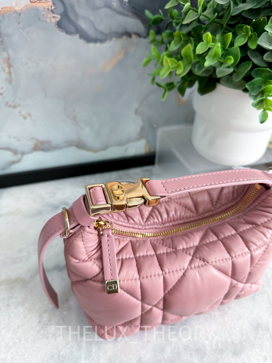 DIOR NOMAD POUCH PINK CANNAGE